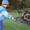 Tak jo, taky dobrý. images