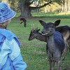 Mlask. images