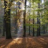 Podzimní krajina images